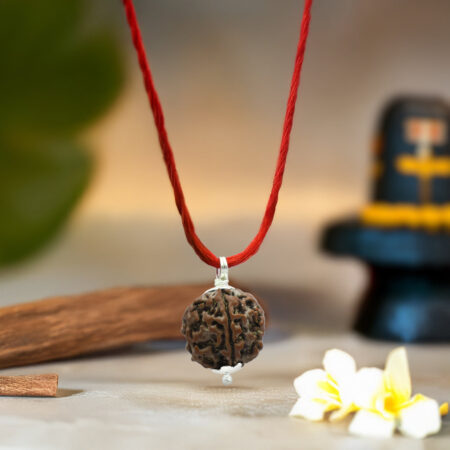 5 Mukhi Rudraksha (Round Shape)