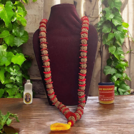 Real 5 Mukhi Rudraksha Mala (14mm)