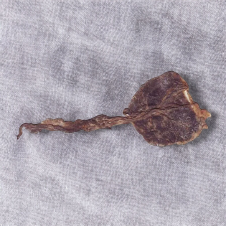 Kali Billi ki Zer (Energized)