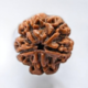 Real 5 Mukhi Rudraksha Mala (6mm)