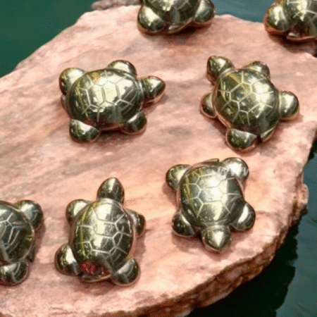 Pyrite Tortoise