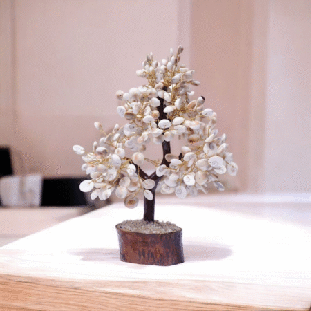 Gomati Rudraksha Tree (108 Beads)