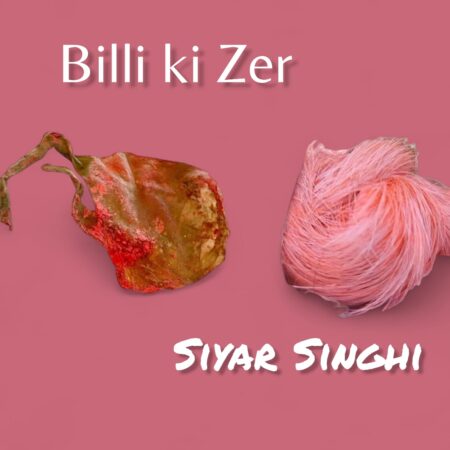 Billi Ki Zer and Siyar Singhi Combo